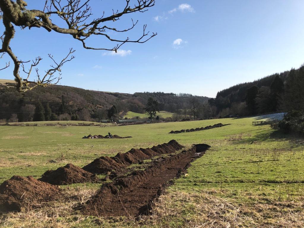 trenches in a sunny field