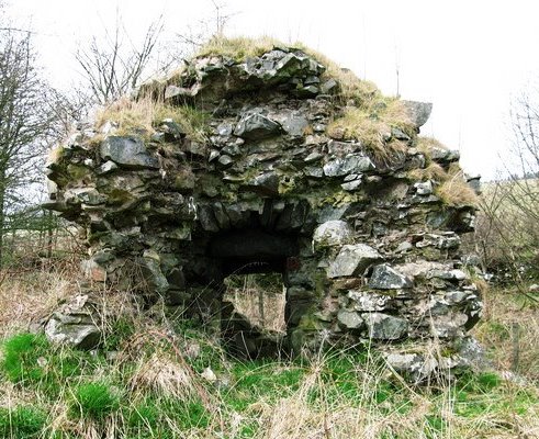 A ruinous length of wall with a doorway through, in rough tussocky ground