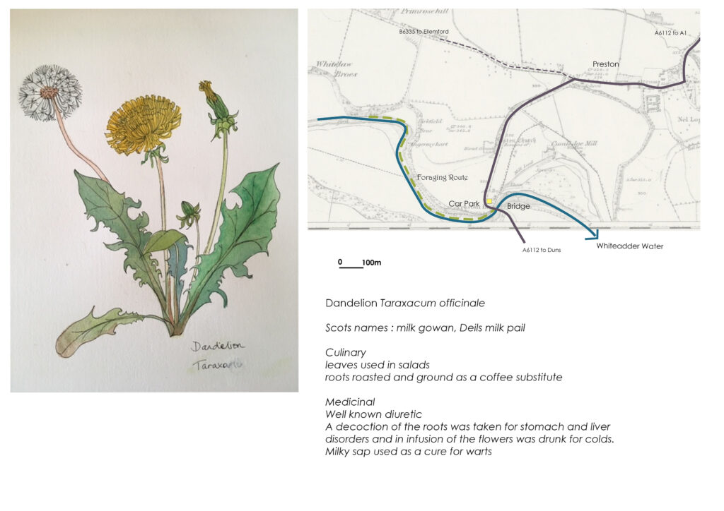 Foraging route development work