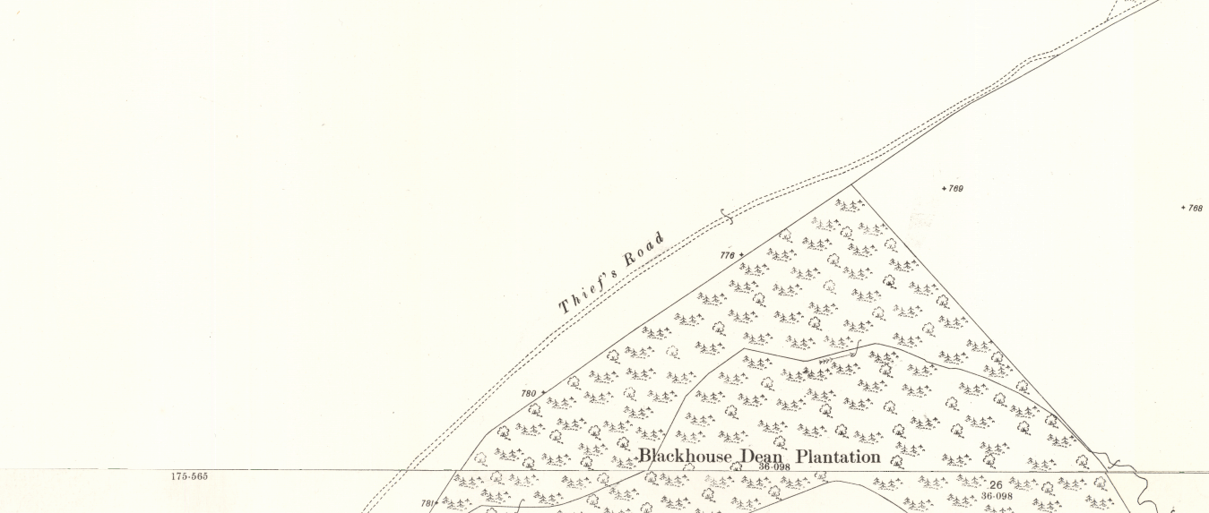 Map excerpt showing a track marked as the Thief's Road, running along the northern edge of a patch of forestry called Blackhouse Dean Plantation
