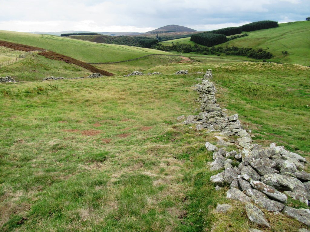 low, ruinous drystone walls in rough grazing at Wrunklaw