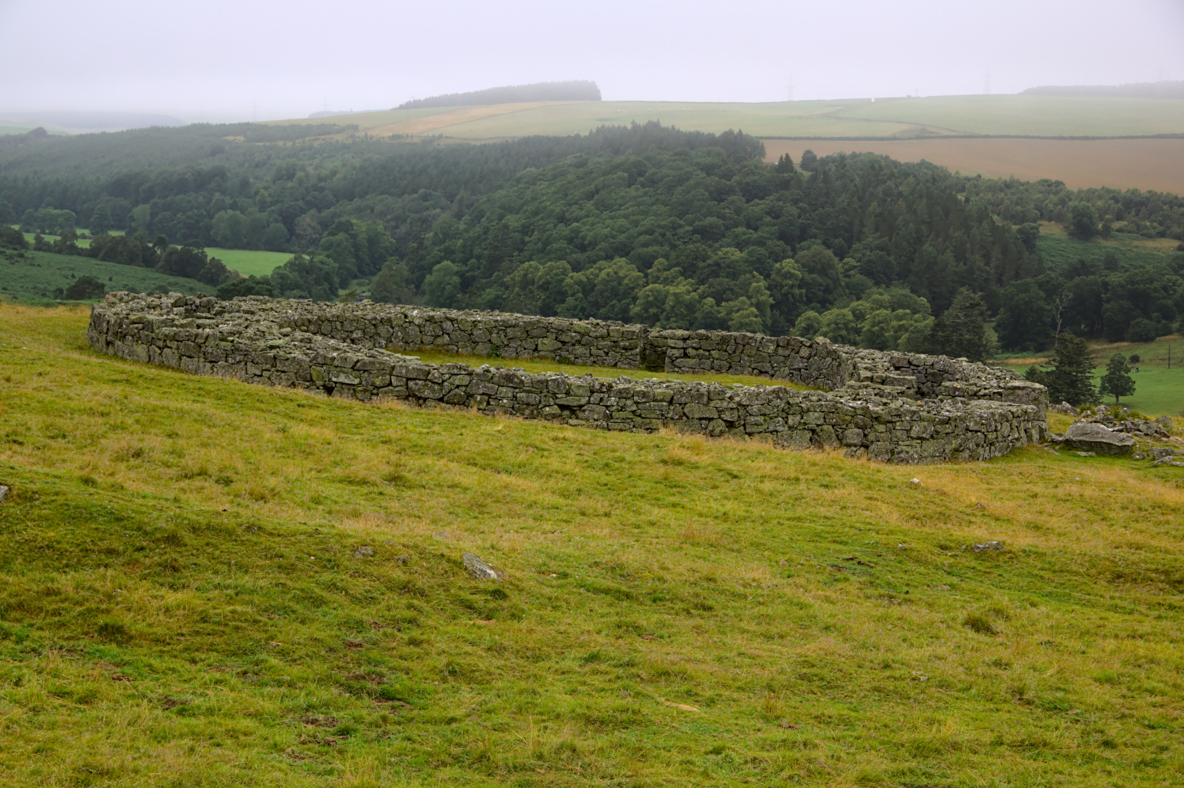 View of Edins Hall broch, from the SE